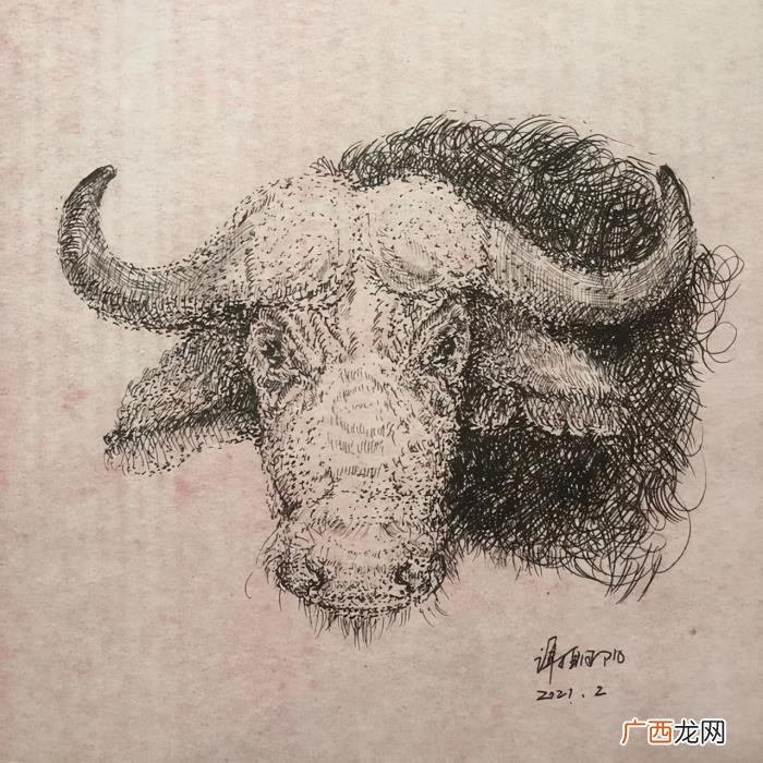 画牛的生肖，画说福牛贺新春2021生肖画牛作品欣赏