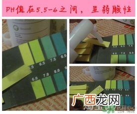 芙莉美娜和呼吸哪个好?芙莉美娜呼吸哪个好用?