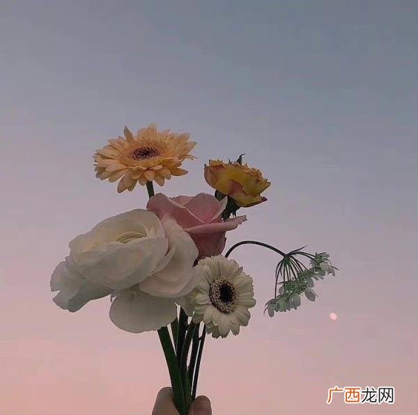夫妻之间如果女方出轨怎么办,发现妻子出轨怎么办