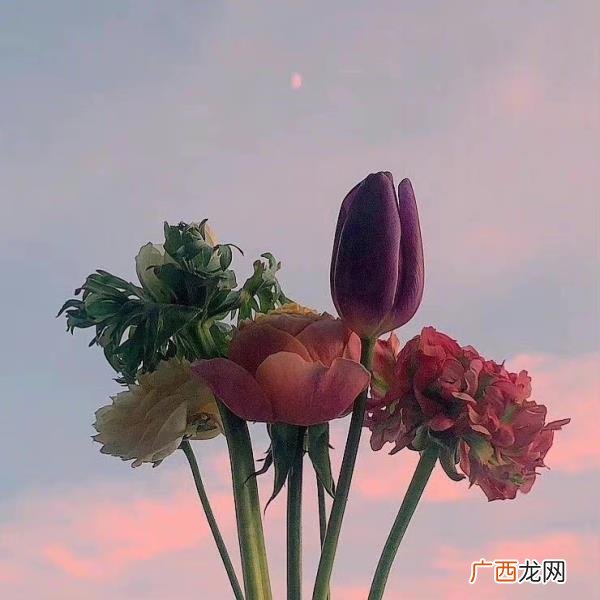 夫妻之间如果女方出轨怎么办,发现妻子出轨怎么办