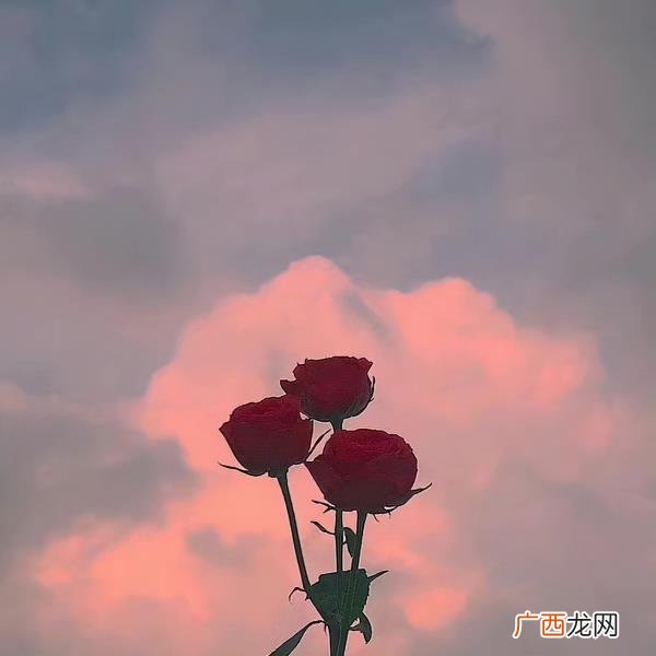 夫妻之间如果女方出轨怎么办,发现妻子出轨怎么办