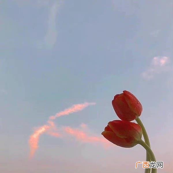 夫妻之间如果女方出轨怎么办,发现妻子出轨怎么办