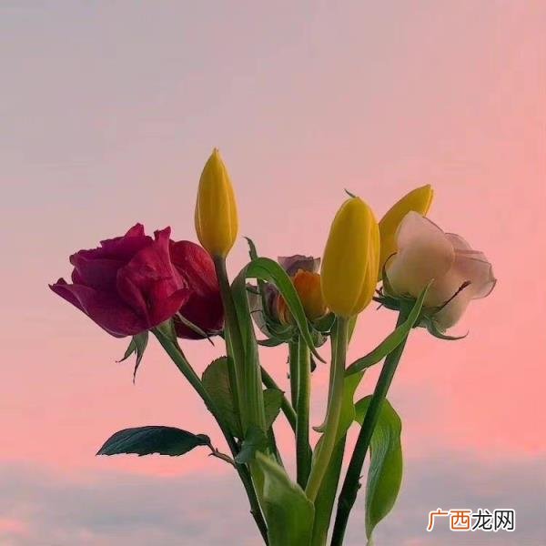 夫妻之间如果女方出轨怎么办,发现妻子出轨怎么办