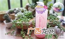菊正宗粉瓶好用吗?菊正宗粉瓶与白瓶区别