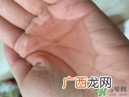 klorane洗发水多少钱?法国klorane洗发水价格
