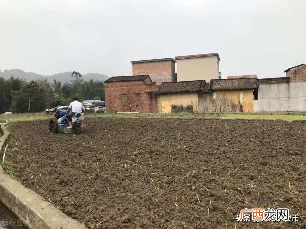 什么财产离婚后不用分割，6类财产离婚后可以不用分割