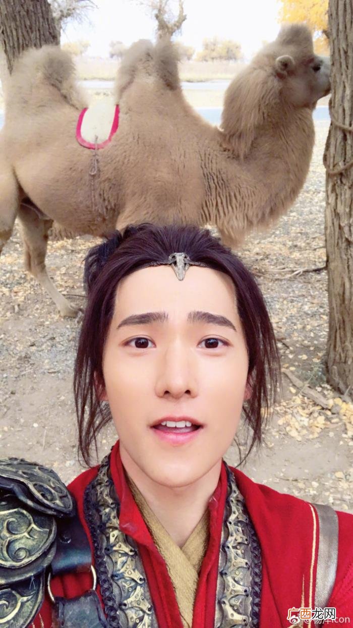 杨洋直男吗，杨洋一张自拍居然引起直男性向大战
