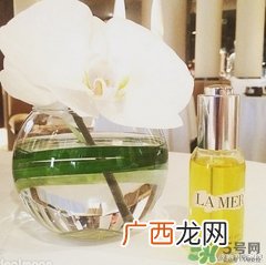 lamer海蓝之谜精华油多少钱？海蓝之谜renewal oil面油价格