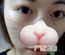 hola牛奶布丁面膜怎么样?hola牛奶布丁面膜好用吗?