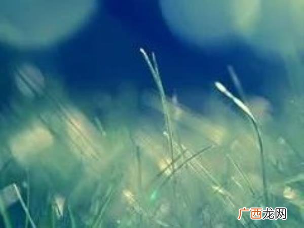 离婚的女人最后都怎么样了，和大家说说离婚后的真实生活