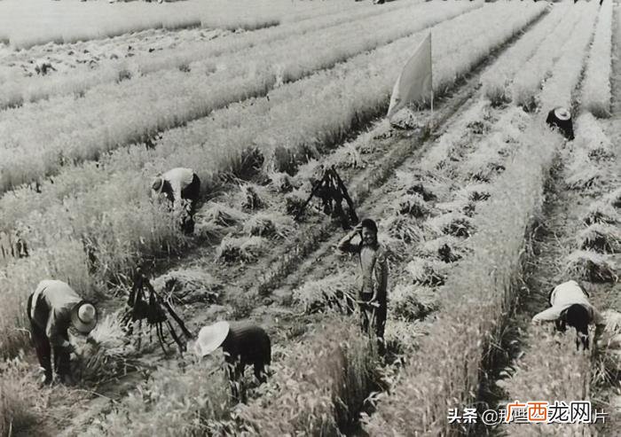 火热的年代，1958年-1963年全民皆兵的火热年代