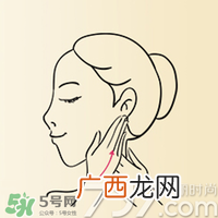 雅顿时空胶囊怎么用？伊丽莎白雅顿时空胶囊使用方法