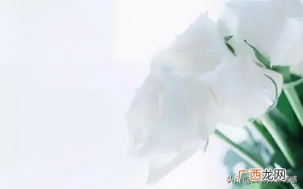 老婆婚内出轨但是不想离婚怎么办，老婆出轨还不愿意离婚怎么办