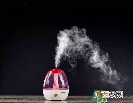 蒸脸器可以当加湿器用吗?蒸脸器和加湿器有何区别?