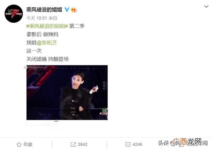 胡静谈人气，胡静明星后援团人气盖过那英张柏芝