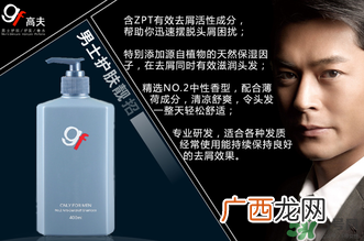 高夫属于什么档次？高夫是哪个国家品牌？