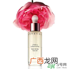 香缇卡是哪国的？香缇卡是哪里的牌子？