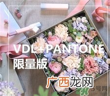 vdl限量版眼部妆前乳多少钱?vdl限量版眼部打底专柜价格