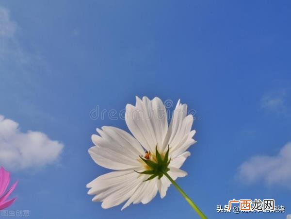 为什么出轨会找熟人，为什么喜欢找熟人