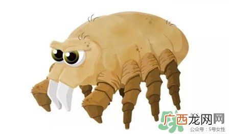 螨虫可以用硫磺皂吗?硫磺皂可以去螨虫吗?