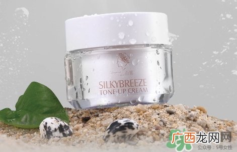 南娜雪肌风吟素颜霜多少钱?南娜雪肌风吟素颜霜价格