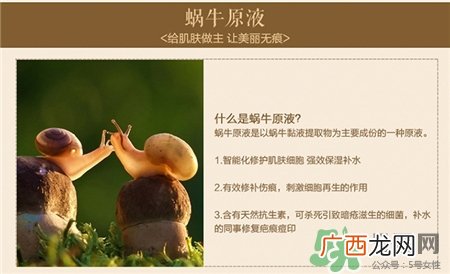 蜗牛原液可以直接用吗?蜗牛原液可以去痘印吗?