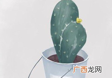 结婚一吵架就让我回娘家,吵架要不要跑回娘家