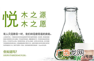 origins悦木之源是哪个国家的牌子？悦木之源是是几线品牌？