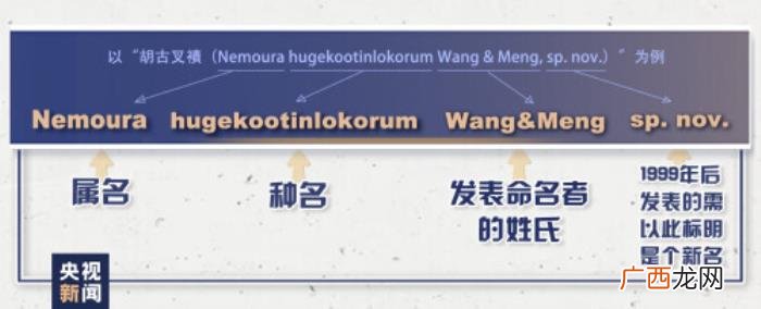 新物种命名，为什么用胡歌、古天乐给新物种命名