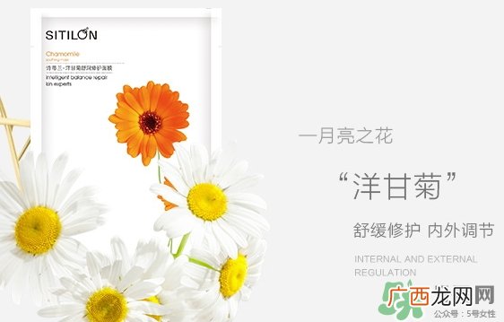 诗蒂兰洋甘菊面膜多少钱?诗蒂兰洋甘菊面膜专柜价格