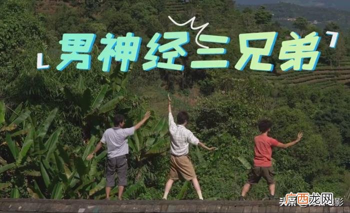 刘昊然票房，23岁刘昊然成第9个100亿票房演员