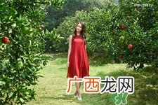 悦诗风吟石榴光精华露怎么用?悦诗风吟石榴光精华露使用方法