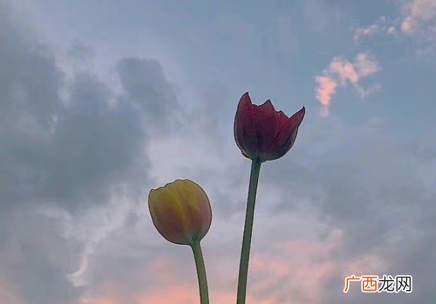 自己老婆出轨了怎么办，发现妻子出轨怎么办