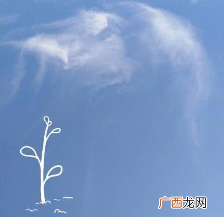 给心爱的人早安图片，一大早就带给她好心情