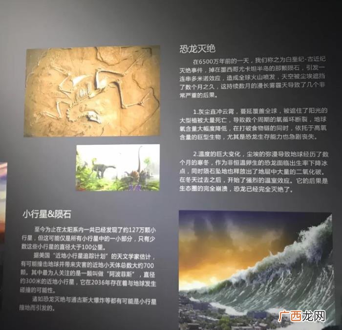 张艺兴演技，被老戏骨包围的鲜肉张艺兴演技到底如何
