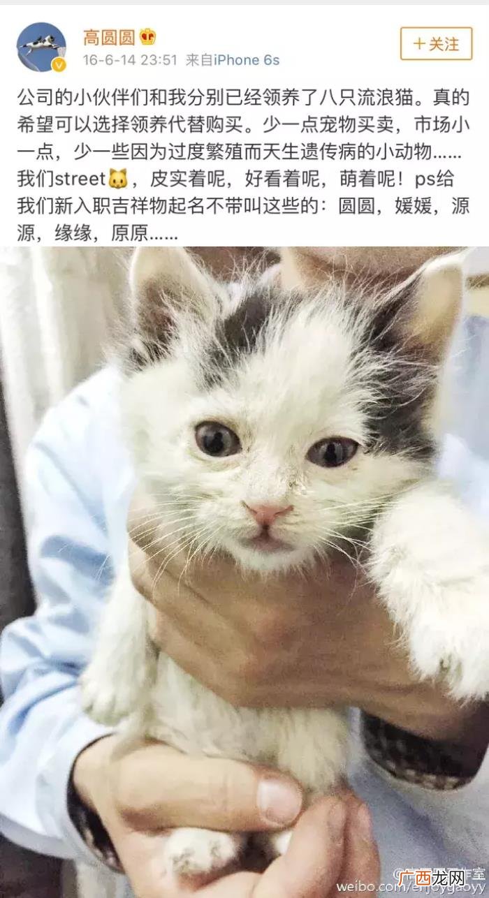 何穗多大了，你知道高圆圆、林志玲、何穗今年多大了吗