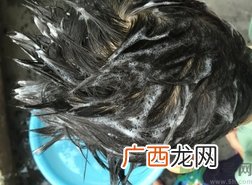 康王洗发水怎么样?康王洗发水好用吗?