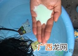 康王洗发水怎么样?康王洗发水好用吗?