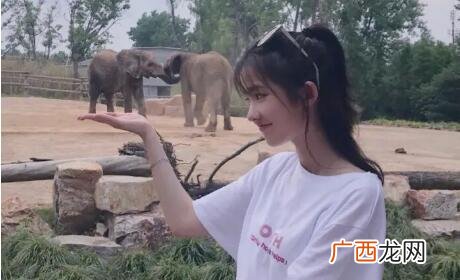 男生怎么试探女生是否喜欢你？瞬间明白女生的心