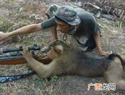 哄女生开心的搞笑图片，不能哄笑算我输