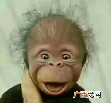 哄女生开心的搞笑图片，不能哄笑算我输