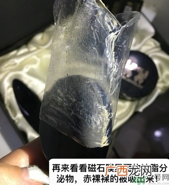 韩国珠儿丽磁石面膜多少钱？珠儿丽磁石面膜使用方法