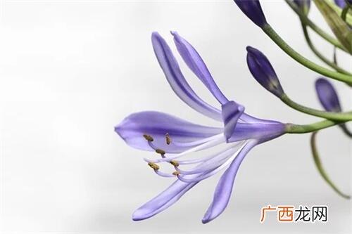 妻子长期冷落丈夫,妻子长期冷落丈夫犯法吗