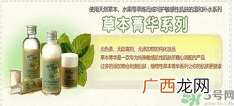 思亲肤和悦诗风吟哪个好?skin food思亲肤和悦诗风吟哪个档次高?