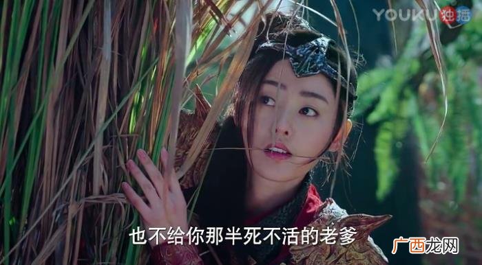 杨超越杨洋,杨超越和杨洋的口碑差距咋这么两极呢