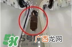 refa美容仪真假对比 refa美容仪真假辨别