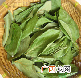 柿子叶怎么去斑？柿子叶祛斑偏方