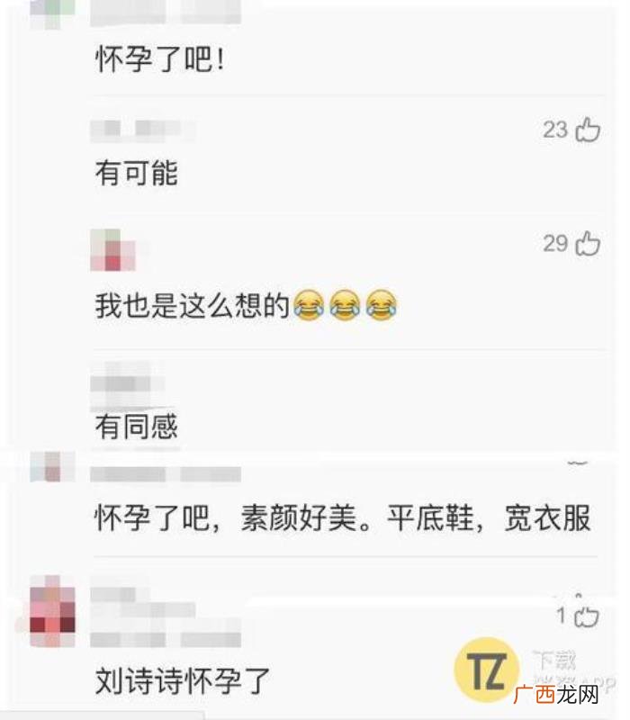 杨颖刘诗诗，刘诗诗是接了Angelababy的棒么