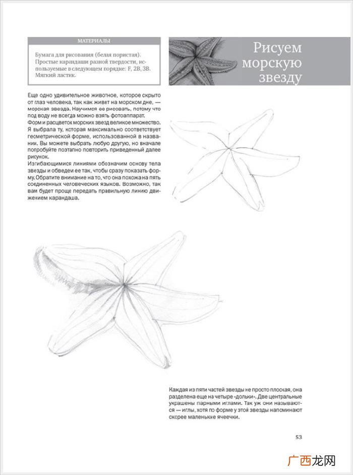 参考资料 素描画初学，适合初学者的简单素描绘画课程
