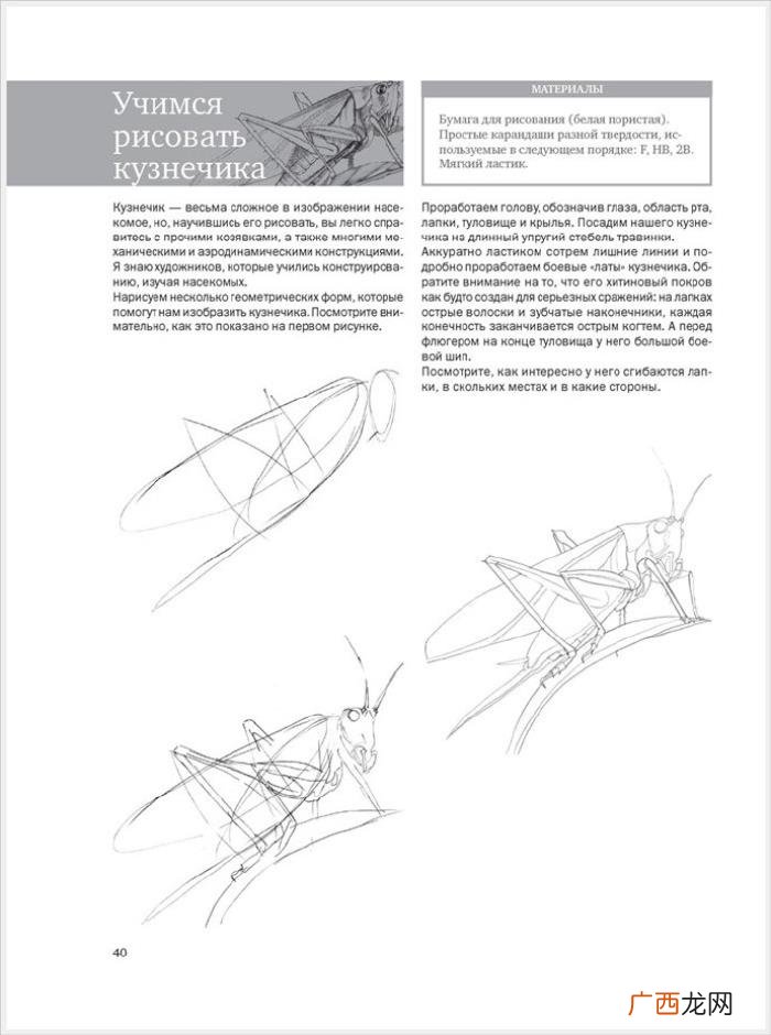 参考资料 素描画初学，适合初学者的简单素描绘画课程